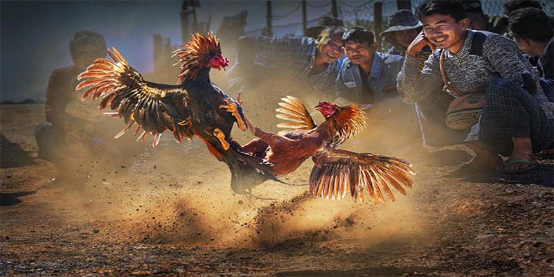 8kbet123 đăng nhập roulette số 1