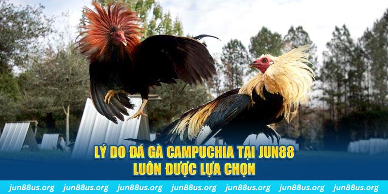 8kbet123 tài xỉu nổ hũ là gì