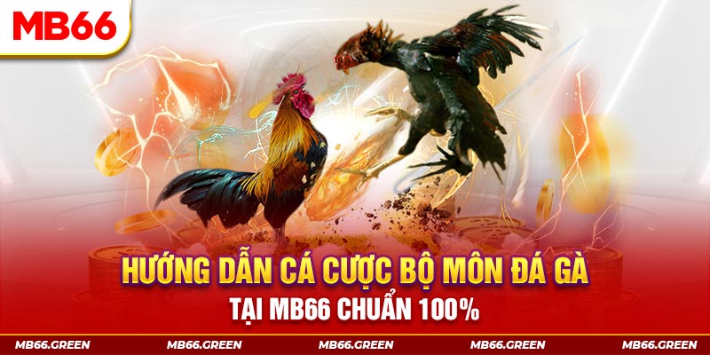 8kbet123 xổ số bình định