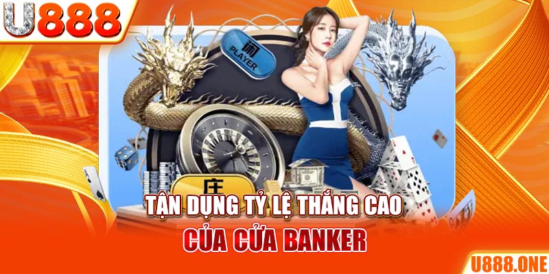 8kbet123 đá gà trực tiếp hôm nay
