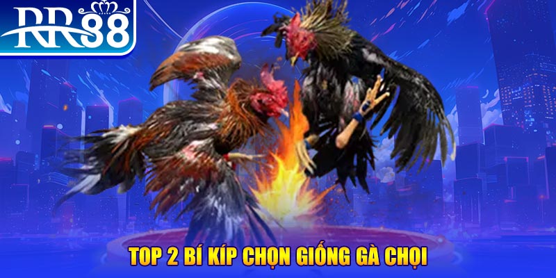 8kbet123 đăng nhập roulette dễ thắng