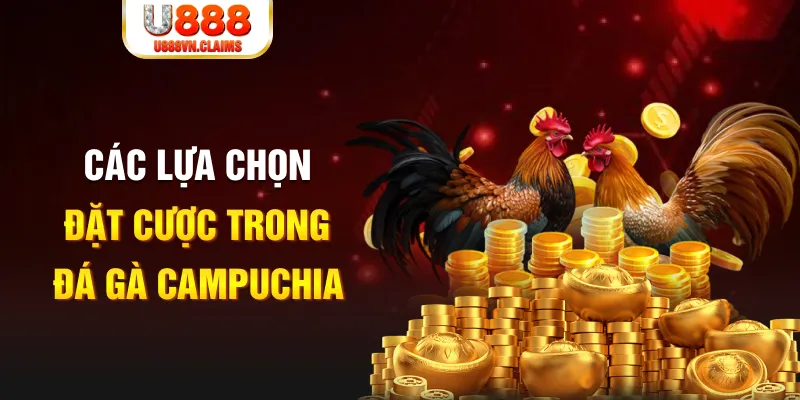 8kbet123 SW Xổ Số