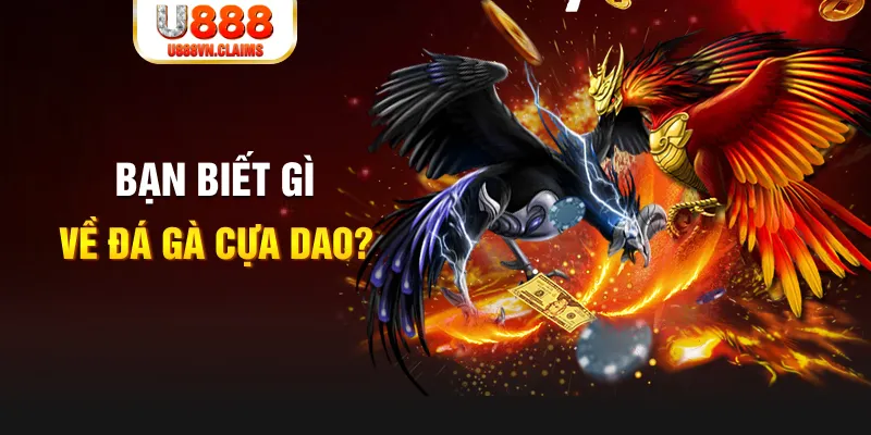 8kbet123 xổ số kiến thiết