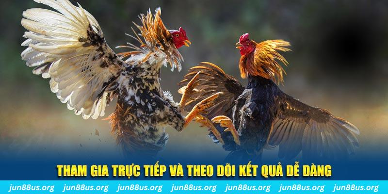 8kbet123 đá gà trực tiếp bình luận viên