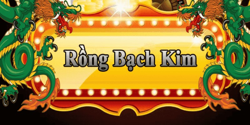 8kbet123 đăng nhập roulette 2025