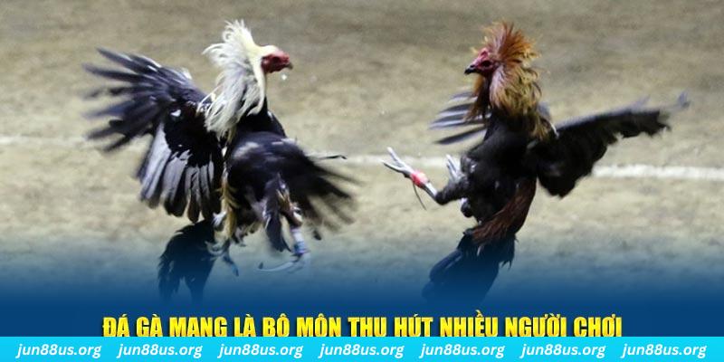 8kbet123 xổ số cà mau
