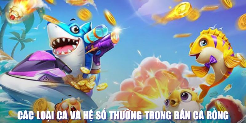 8kbet123 loi game dot kich ket noi may chu that bai