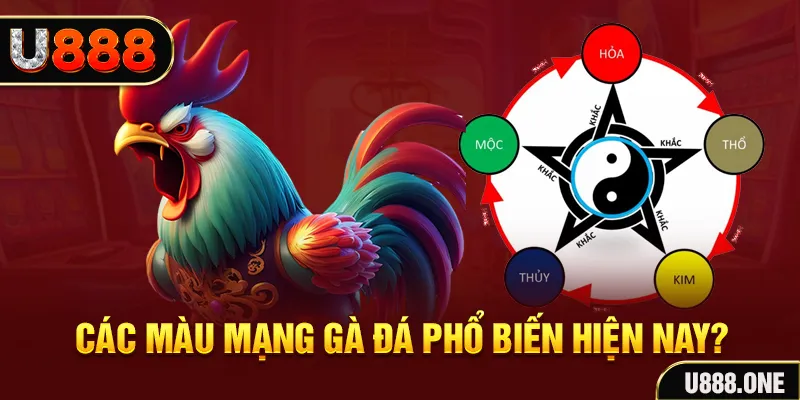 8kbet123 đăng nhập mậu binh