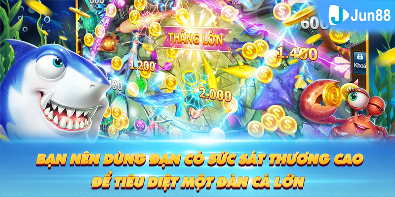 8kbet123 Tung Đồng Xu