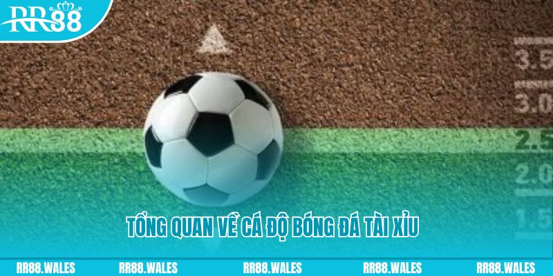 8kbet123 đăng nhập lô đề online