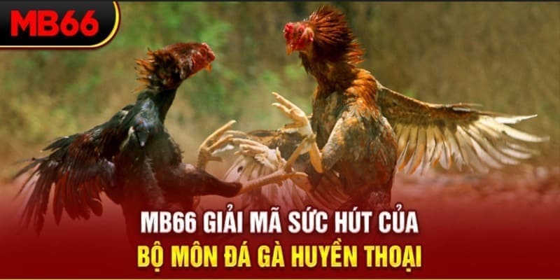 8kbet123 Phi Đội Ưu Tú