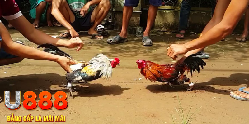 8kbet123 đăng nhập mậu binh rút tiền nhanh