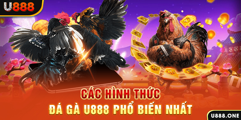 8kbet123 DB Trực Tuyến