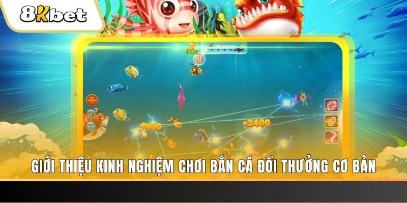 8kbet123 xổ số miền bắc thứ năm hàng tuần