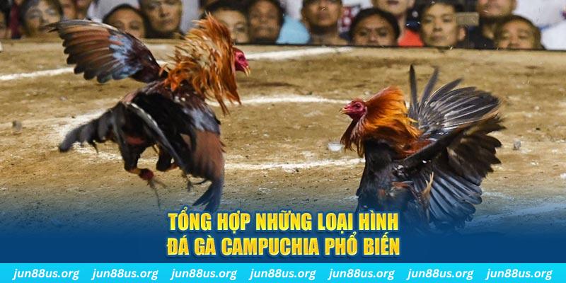 8kbet123 ON Trực Tuyến