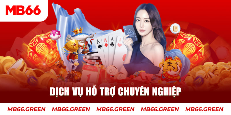 8kbet123 AOG Đá Gà