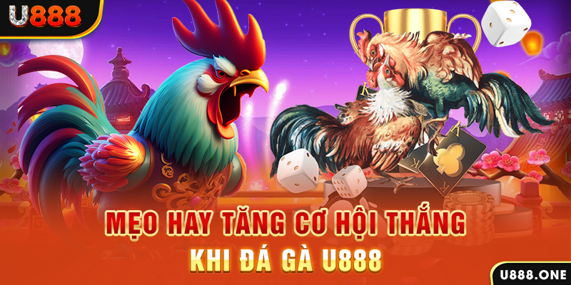 8kbet123 trực tiếp gà chọi c1