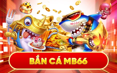 8kbet123 đá gà trực tiếp 67