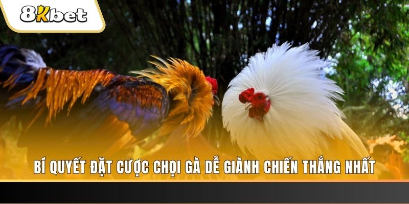 8kbet123 Tài Xỉu 2