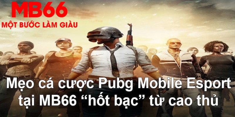 8kbet123 gà chọi mộc hóa