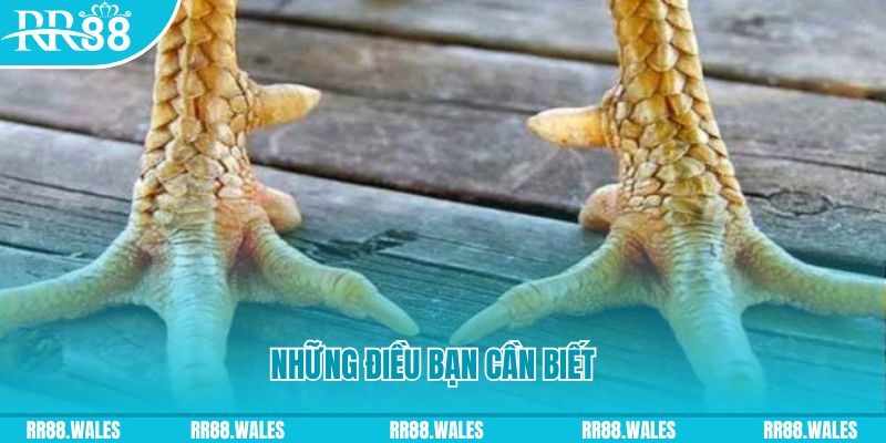 8kbet123 đăng nhập liêng hàng đầu