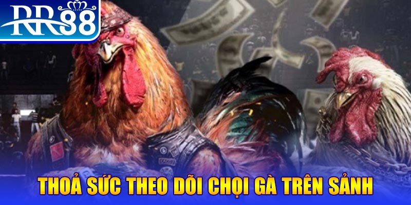 8kbet123 đá gà 88.com