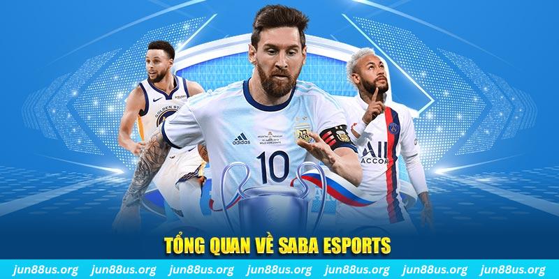 8kbet123 gà chọi c1 tv trực tiếp hôm nay