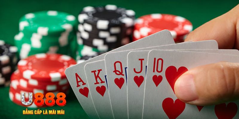 8kbet123 trực tiếp đá gà